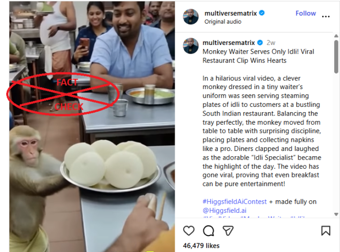 ಈ ವೈರಲ್ ವೀಡಿಯೊದಲ್ಲಿ ನಿಜವಾಗಿಯೂ ರೆಸ್ಟೋರೆಂಟ್‌ನಲ್ಲಿ ಗ್ರಾಹಕರಿಗೆ ಇಡ್ಲಿಗಳನ್ನು ಬಡಿಸುವ ಕೋತಿಯನ್ನು ತೋರಿಸಲಾಗಿದೆಯೇ? ಸತ್ಯ ಪರಿಶೀಲನೆ