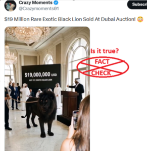 ದುಬೈಯಲ್ಲಿ ಕಪ್ಪು ಸಿಂಹವನ್ನು ಹರಾಜಿನಲ್ಲಿ ಮಾರಾಟ ಮಾಡುತ್ತಿರುವುದನ್ನು ನಿಜವಾಗಿಯೂ ಈ ವೀಡಿಯೊದಲ್ಲಿ ತೋರಿಸಲಾಗುತ್ತಿದೆಯೇ? ಸತ್ಯ ಪರಿಶೀಲನೆ